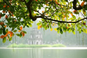 Mùa thu Hà Nội: Khám phá tiềm năng du lịch đặc sắc và bền vững