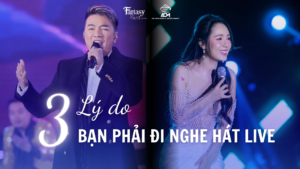 3 TRẢI NGHIỆM CHỈ CÓ KHI NGHE HÁT LIVE